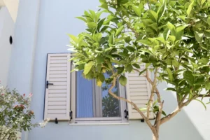 Κύπος_2 Κύπος_2