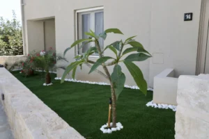 Κύπος_4 Κύπος_4