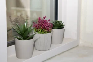 Παράθυρο Παράθυρο