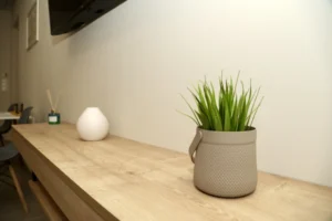 Στολίδια Στολίδια